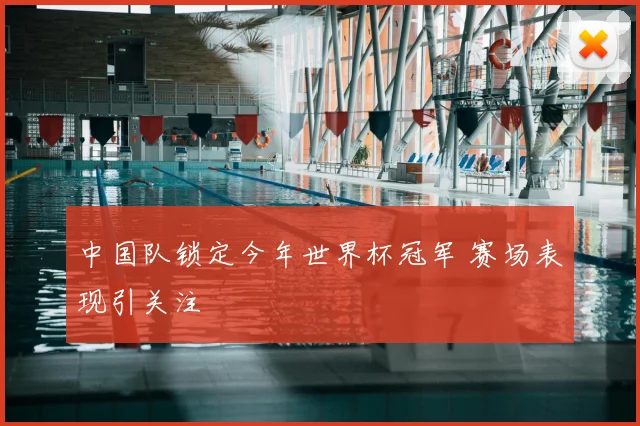中国队锁定今年世界杯冠军 赛场表现引关注
