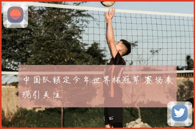 中国队锁定今年世界杯冠军 赛场表现引关注