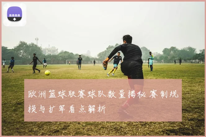 欧洲篮球联赛球队数量揭秘 赛制规模与扩军看点解析
