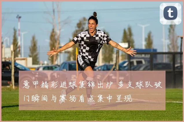 意甲精彩进球集锦出炉 多支球队破门瞬间与赛场看点集中呈现