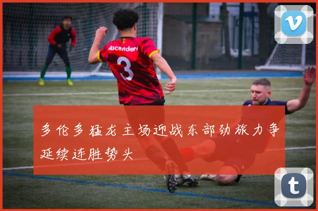 多伦多猛龙主场迎战东部劲旅力争延续连胜势头