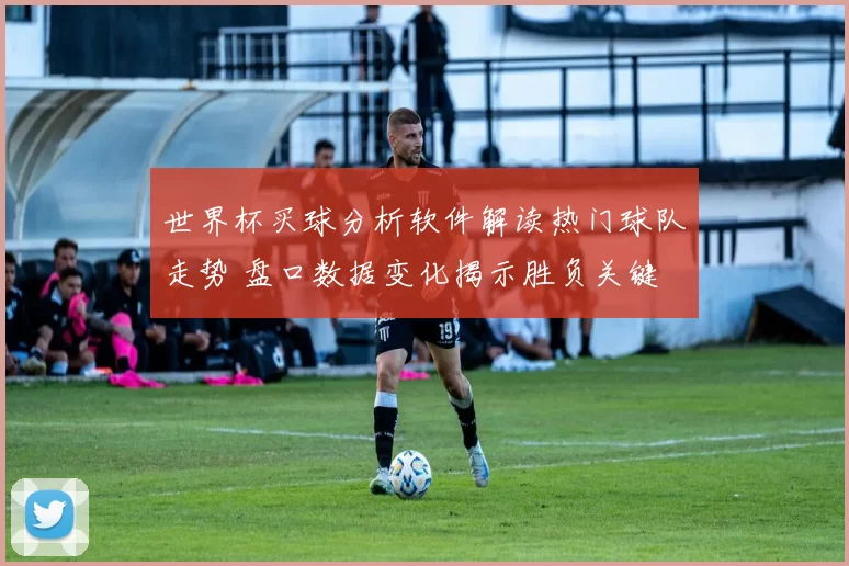 世界杯买球分析软件解读热门球队走势 盘口数据变化揭示胜负关键