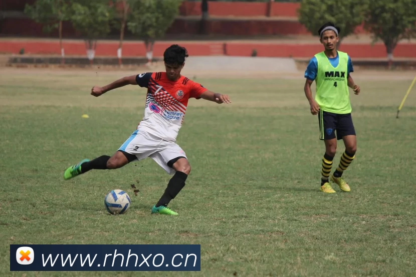 333体育平台登录官网(中国)官方网站APP 封面图